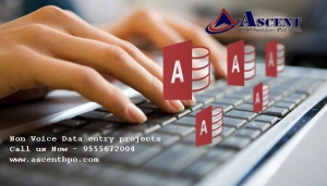 Data Entry Projects Outsourcing Services | Data entry work –